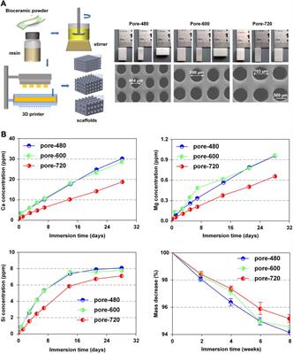 Investigations into the effects of scaffold microstructure on slow-release system with bioactive factors for bone repair